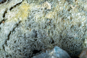 completely spoiled and mold-covered bread on the table