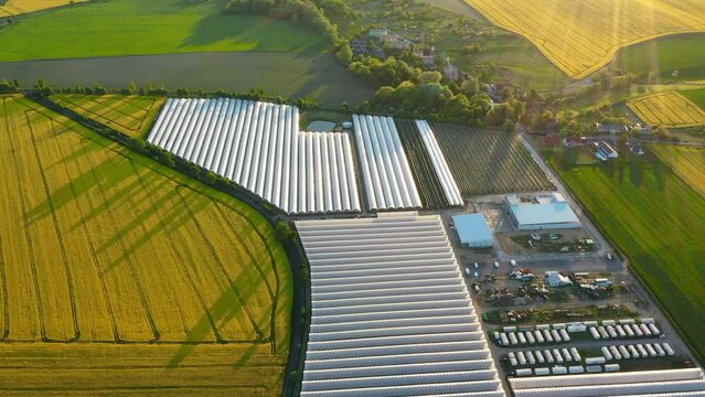 Top view of a greenhouse located among the fields, huge volumes of greenhouses for growing vegetables and fruits, a beautiful summer landscape at sunset flying over the fields