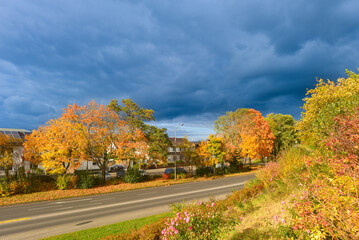Naklejka premium Hanau - Großauheim (Rauschsiedlung)