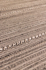 plowed soil in an agricultural field during tillage