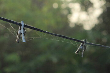group of rusted old stainless steel cloth clips with spiderweb hang on the rope without clothes