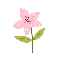 Cute azalea flower with leaves isolated on white background. Vector illustration in hand-drawn flat style. Perfect for cards, logo, decorations, spring and summer designs. Botanical clipart.