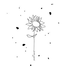Sunflower in minimalist style. Floral nature, Women's day gift, romantic date. Illustration, sketch, outline drawing