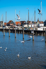 Obraz premium Walking on sunny day in small Dutch town Marken with wooden houses located on former island in North Holland, Netherlands