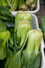 Fresh green chinese cabbage pak choi for sale on market