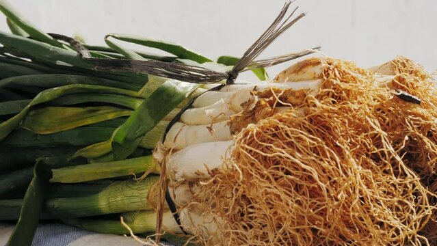Traditional Spanish catalan onion calcots, spring green barbecue.