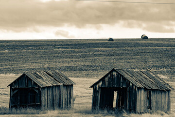 old barn in the field