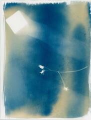 cyanotype texture paper image background photogram