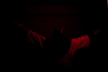A devil in the dark and neon