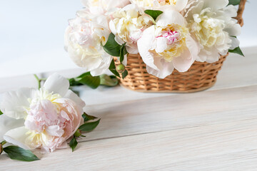 Beautiful fragrant peonies in a wicker basket on a white wooden table. Seasonal flowers as a gift for a birthday, wedding decoration or other celebration