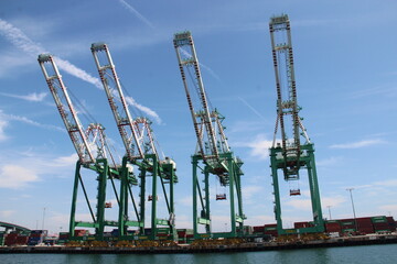 Cranes, Long Beach, California