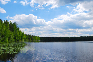 Lake in summer. Lake surrounded by forest. Ripples on the water. Large volume clouds over the water. Natural landscape.