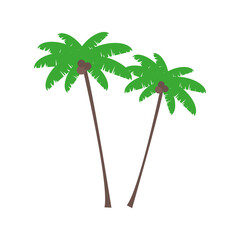 palm trees on isolated white background