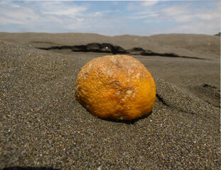 Fototapeta na wymiar An orange in the middle of the beach