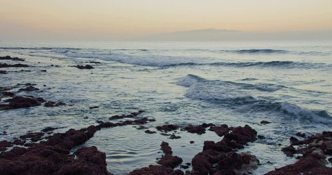 Sunset view over La Gomera island. Atlantic Ocean waves crashing on volcanic stones with algae at sunset. Low tide. Red algae.