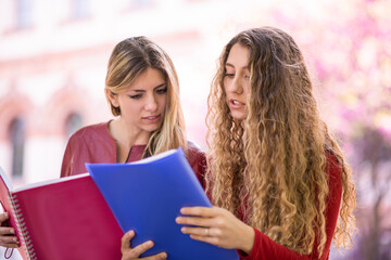 College students studying outdoors