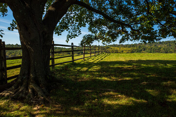 Meadow with wooden fence under big oak, green grass and blue sky on a beautiful summer day in the Sky Meadows State Park, Virginia, USA.