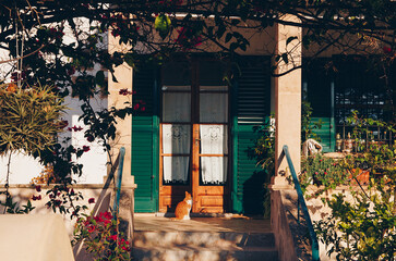 Red cat waiting to be allowed to go home and fed. A cozy porch of a house with green wooden shutters and a sun-warmed red cat. Sunny facade of a building, hacienda on the beach, Mallorca, Spain. Surro