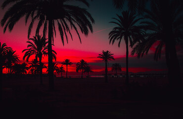 Fiery sunset on the coast. Relax atmosphere. Background sunset with silhouette palm trees, El...