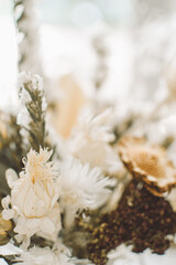 Closeup of dried flowers
