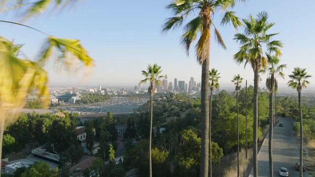 LA city of dreams cityscape view, aerial 4K summer background California. Cinematic Los Angeles downtown city view on background of scenic green tall palm trees highlighted in golden sunset light