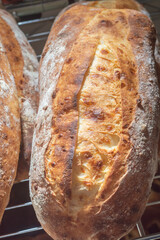 Italian bread with cheese in its pasta and natural fermentation