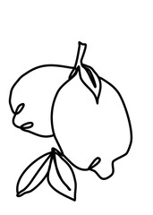 continuous line drawing - lemon fruit