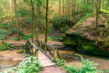 Footbridge on a trail