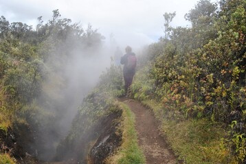 walking in the fog