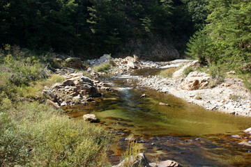 A river flows through a canyon surrounded by forest