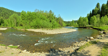 Panoramic shot of a bend in the bed of a small river flowing through a forest on a sunny summer day.