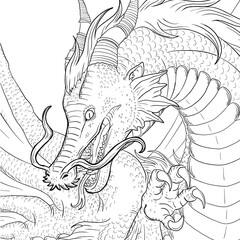 Black and white coloring page ink illustration of a dragon.
