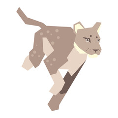 Colorful abstract geometric vector illustration of a cat.