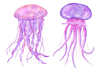 Watercolor illustration of jellyfish in blue turquoise purple colors, ocean sea underwater wildlife animals. Nautical summer beach design, coral reef life nature.