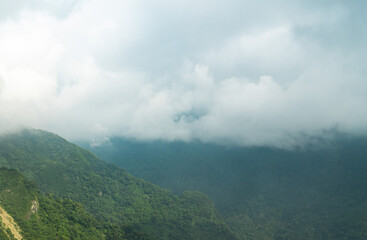 Alishan Mountain, Taiwan, China, China, shrouded in clouds