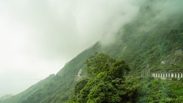 Alishan Mountain, Taiwan, China, China, shrouded in clouds