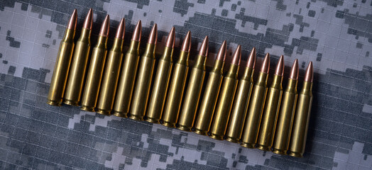 Loaded .223, 5.56 Cartridges. Full metal jacket bullets.
