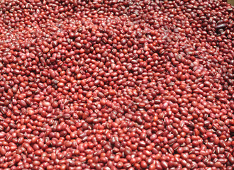 high angle view of adzuki red bean background