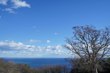 Fototapeta na wymiar 吾妻山公園山頂から見た風景2