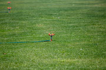 Obraz na płótnie Canvas Sprinkler sprays water on green grass.