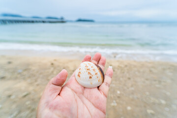 Man hand holding nautilus shell against sea waves