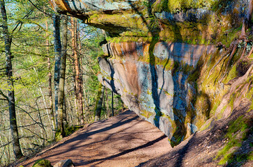 Altschlosspfad Wandergebiet bei Eppenbrunn