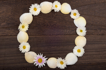 テーブルの上の円形に並べた菊の花と貝殻のフレーム
