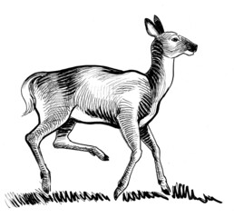 Ink black and white drawing of a standing elk