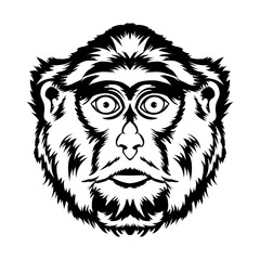 Patas Monkey face vector illustration in hand drawn style, perfect for tshirt style and mascot logo