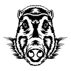 Red river hog face vector illustration in hand drawn style, perfect for tshirt style and mascot logo
