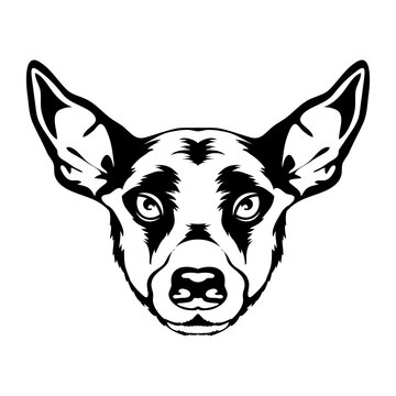 Peruvian hairless dog face vector illustration in decorative style, perfect for tshirt style and mascot logo 