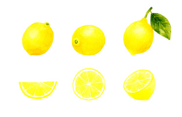 レモンの果実のイラストセット　フルーツの手描き水彩イラスト素材集