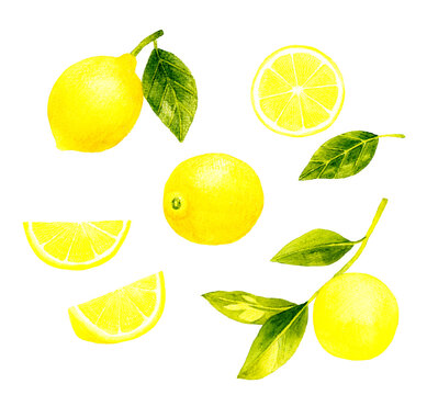 水彩イラスト Images Browse 6 179 Stock Photos Vectors And Video Adobe Stock