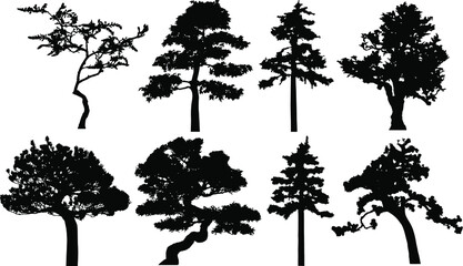 Fototapeta premium Vector silhouette of tree. Isolated eps 10.